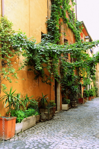 Rome  Italy. The view on the street with a lot of plants.