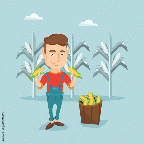 Farmer collecting corn vector illustration.