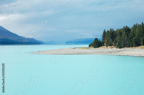 The aqua water of Lake Tekapo with pine trees on the South Island of New Zealand