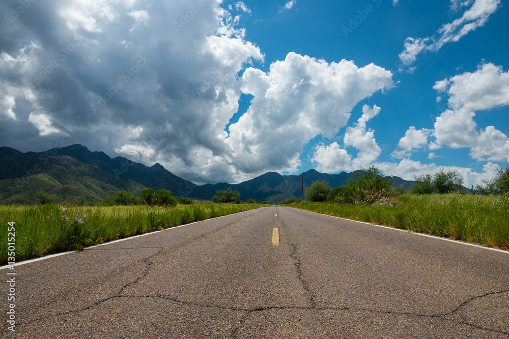 Madera Canyon Stock Photo | Adobe Stock
