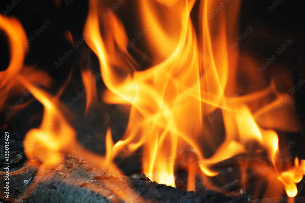 Fototapeta premium burning firewood and fire flame at night