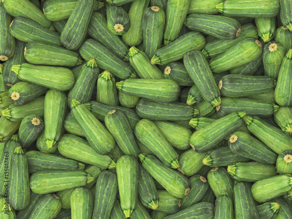 Pile of Long Zucchini, Variation 1 Pile of Long Zucchini, Variation 1