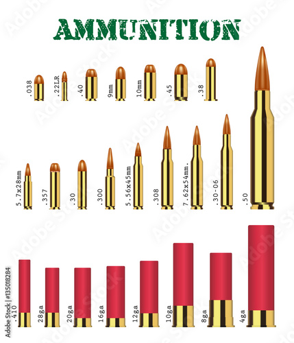 real set of many types of gun ammunition vector