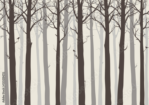 background seamless horizontal, trees with birds, brown colors, vector illustration.It can be used as wallpaper in the interior