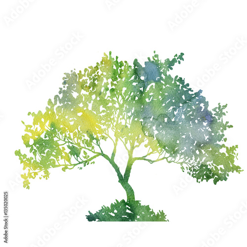 silhouette of green tree with leaves