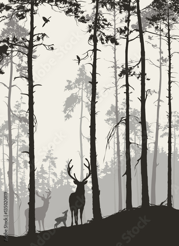 silhouette of a pine forest with a family of deer and birds, brown colors, vector illustration © kozerog2015