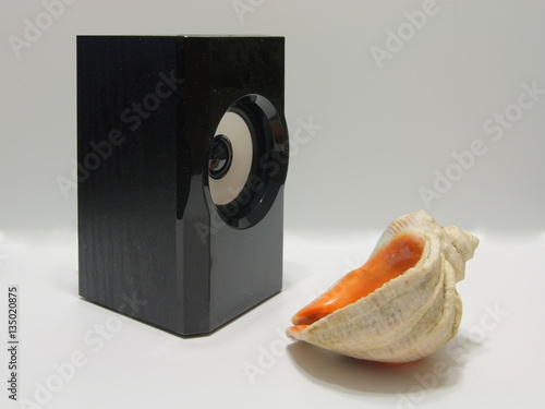 Fotografie Still life of two objects - speaker and seashell.