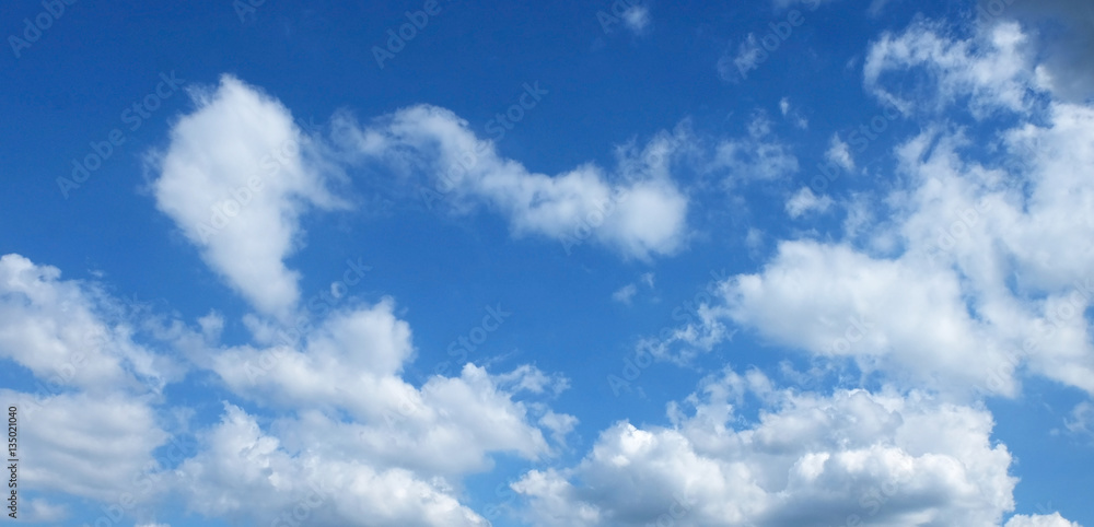 Obraz premium blue sky with white clouds.