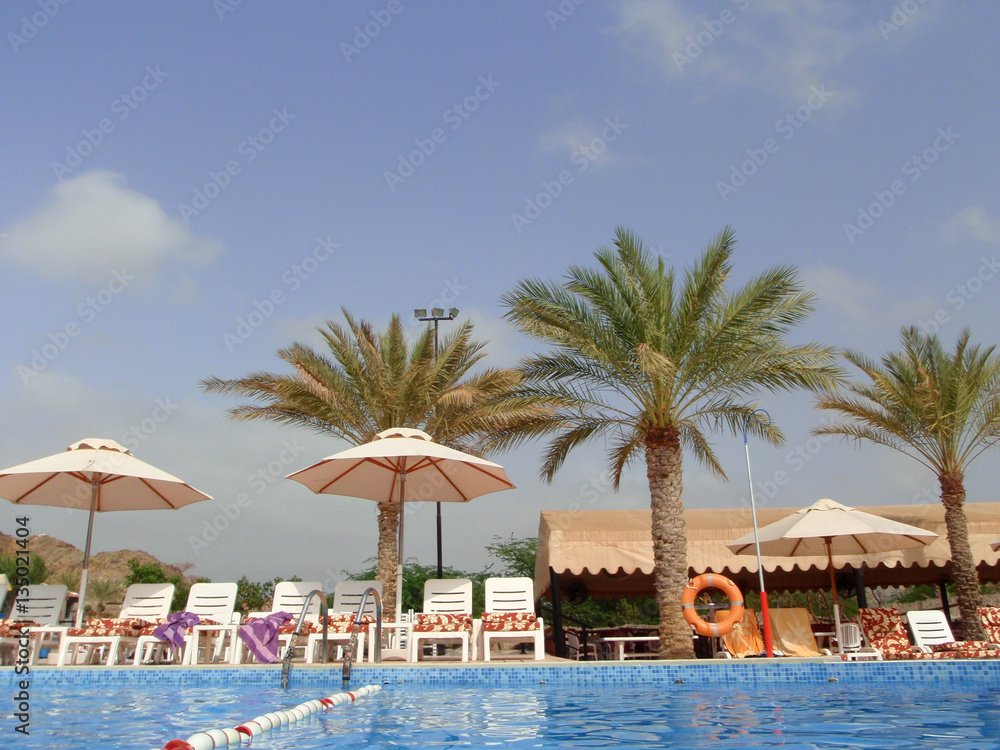 pool side, palm trees, umbrellas, pool, sun bathe