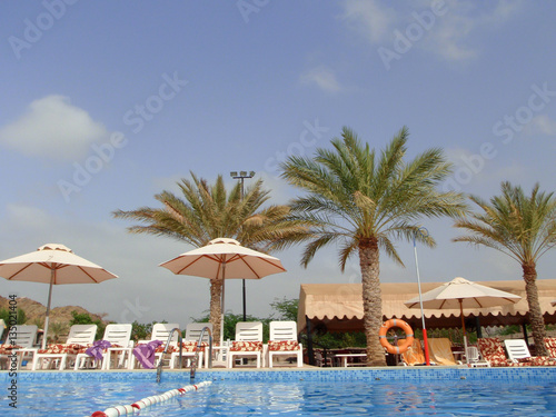 pool side  palm trees  umbrellas  pool  sun bathe