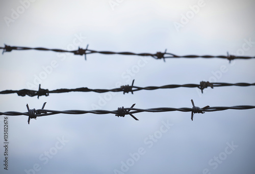 Barbed wire, fence in front of gray sky, background