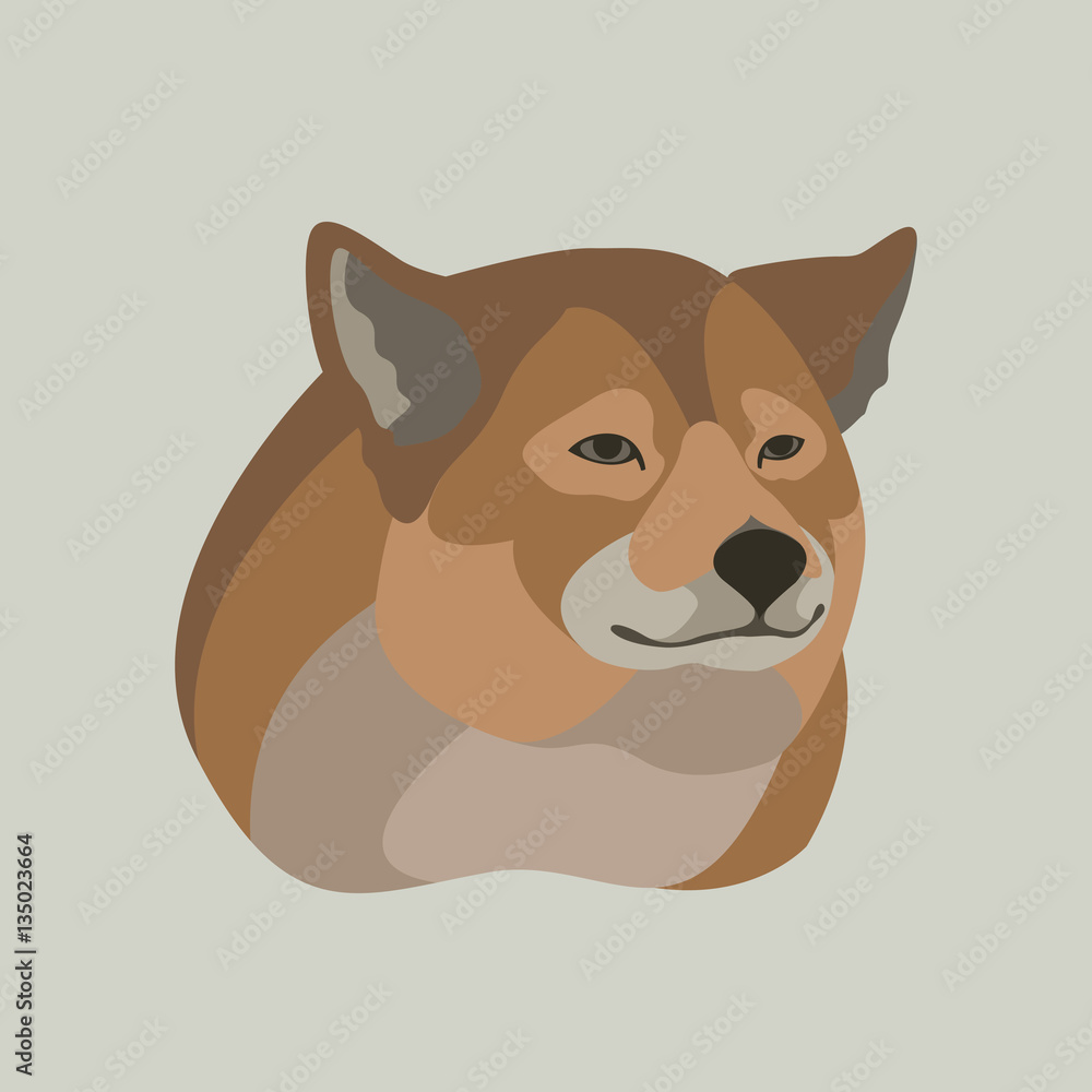 Wolf head vector illustration style face Flat Wolf head vector illustration style face Flat