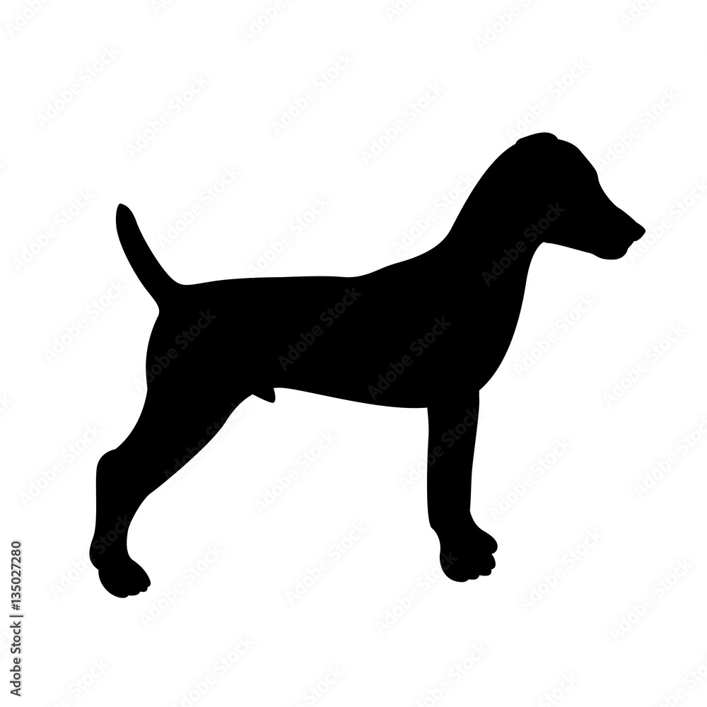 Terrier vector illustration style Flat silhouette