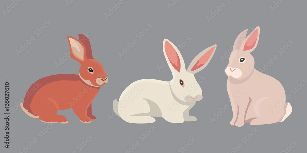 vector illustration of cartoon rabbits different breeds. Fine bunnys for veterinary design vector illustration of cartoon rabbits different breeds. Fine bunnys for veterinary design