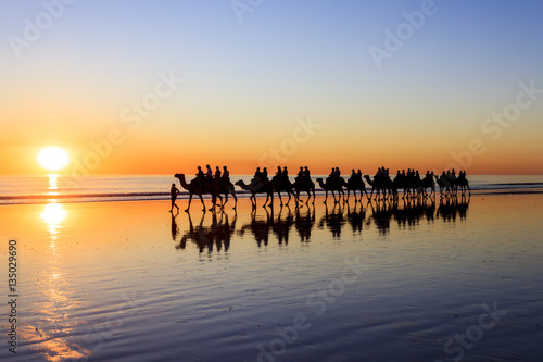 A line of Camels walk along Cable Beach in Broome, Western Australia, during sunset. Western Australia photo
