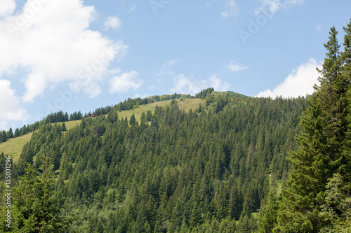 Summer green ski slope in Austria © Svein Otto Jacobsen