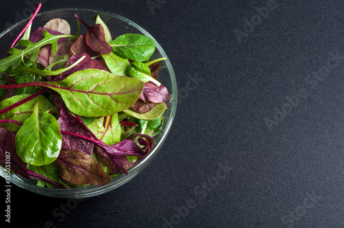 Fresh green salad with spinach, arugula, chard leaves, lettuce. Mixed salad leaves on dark background. Healthy food, healthy lifestyle and diet concept. Top view