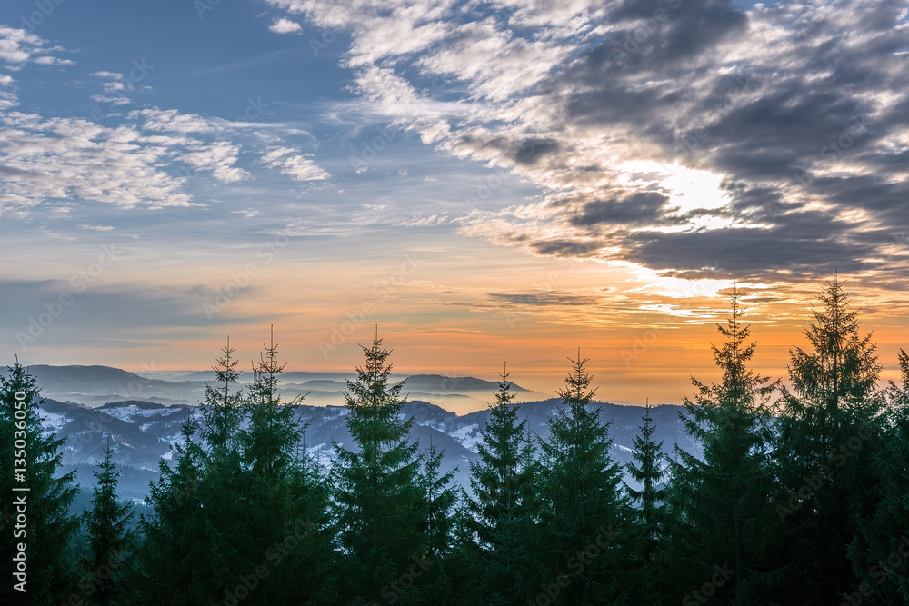 Obraz premium Winterlicher Schwarzwald 