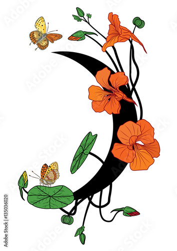 nasturtium, butterflies and moon