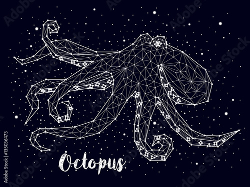 Octopus constellation