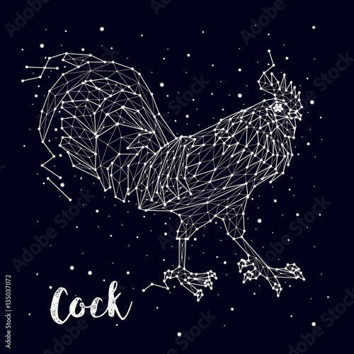 cock. constellation. year fire rooster, vector