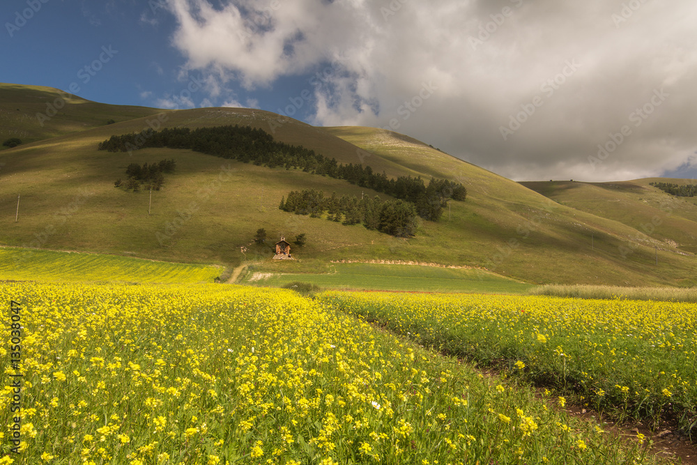 Vallata di Castelluccio di Norcia