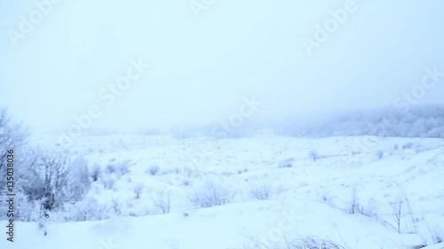 Wallpaper Mural trees covered with snow Torontodigital.ca