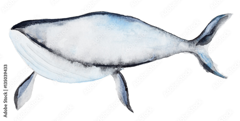 Fototapeta premium Watercolor blue whale