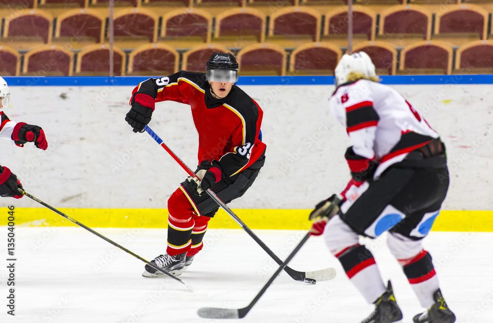 Naklejka premium Ice hockey players