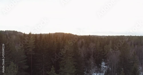 Wallpaper Mural aerial footage rising over fir forest in winter season, 4k drone video Torontodigital.ca