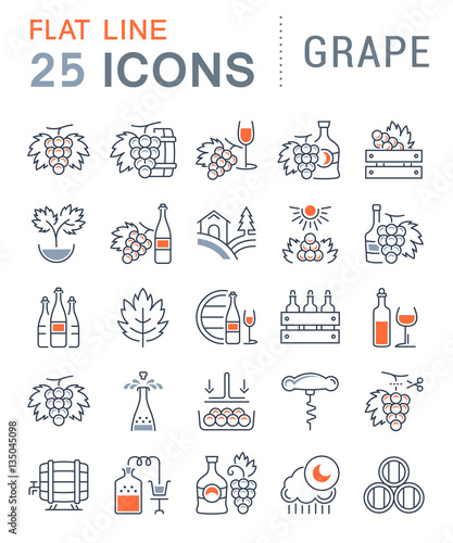 Set Vector Flat Line Icons Grape
