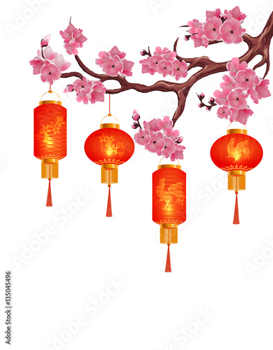 Four red Chinese lanterns on a branch of cherry with pink flowers. Isolated on white background. illustration