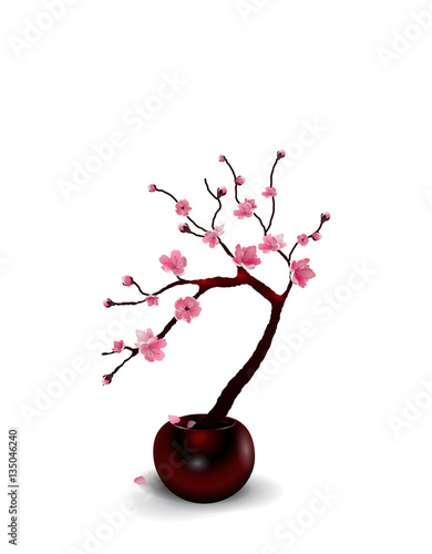 Ikebana. Composition. Figure Sakura flower. Isolated on white background with shadow. illustration