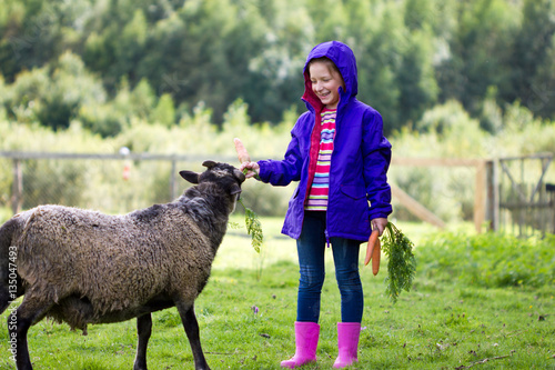 cheerful girl is feeding carrots to the sheep