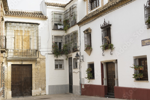 Fototapeta Naklejka Na Ścianę i Meble -  Cordoba (Andalucia, Spain)