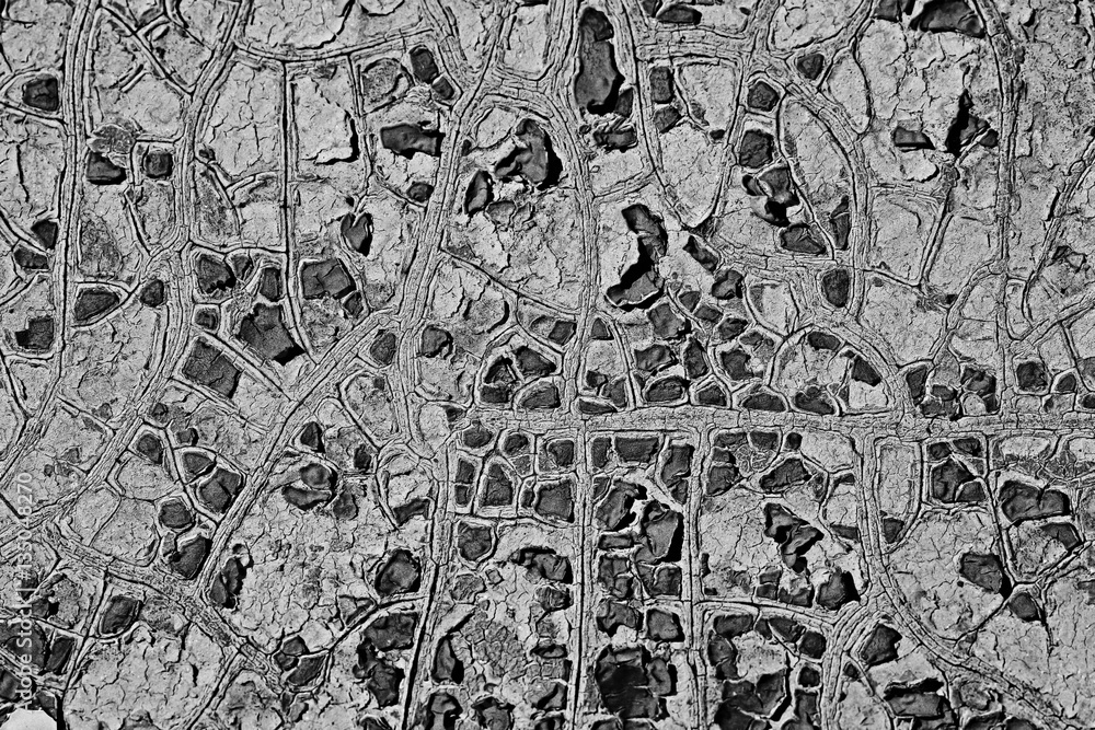 Obraz premium cracks old paint, black and white texture to overlay