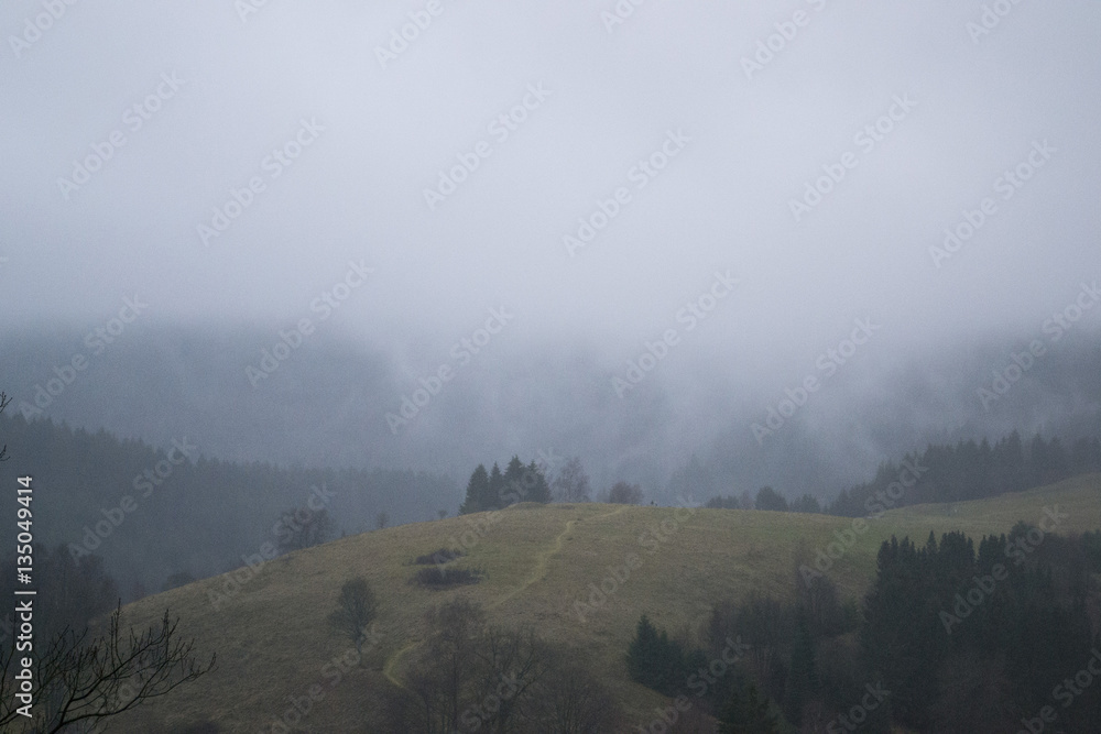 Harz Berge Landschaft Nebel Winter