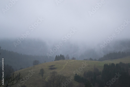 Harz Berge Landschaft Nebel Winter