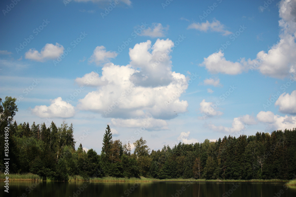 Fototapeta premium Lake shore in summer season, Russia 