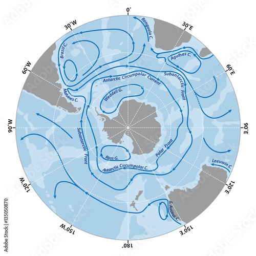 Vector map of the Antarctic Circumpolar Current