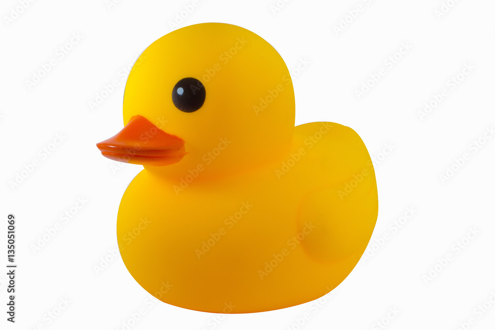 Duck yellow rubber  on white background