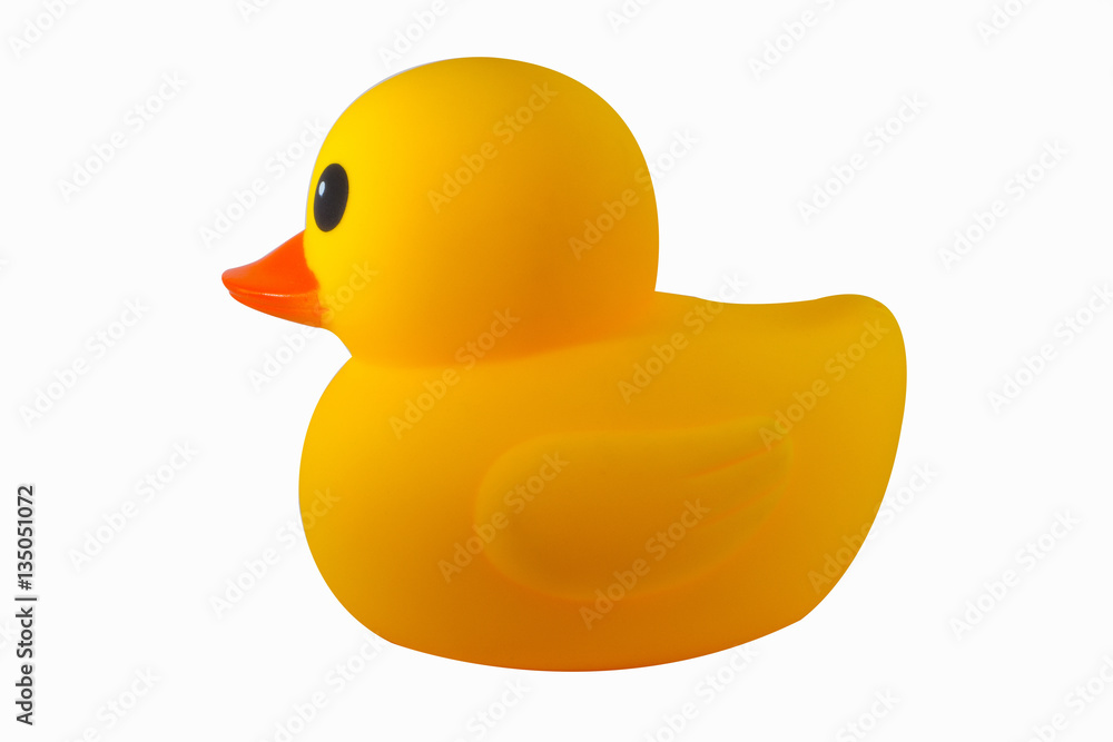 Fototapeta premium Duck yellow rubber on white background