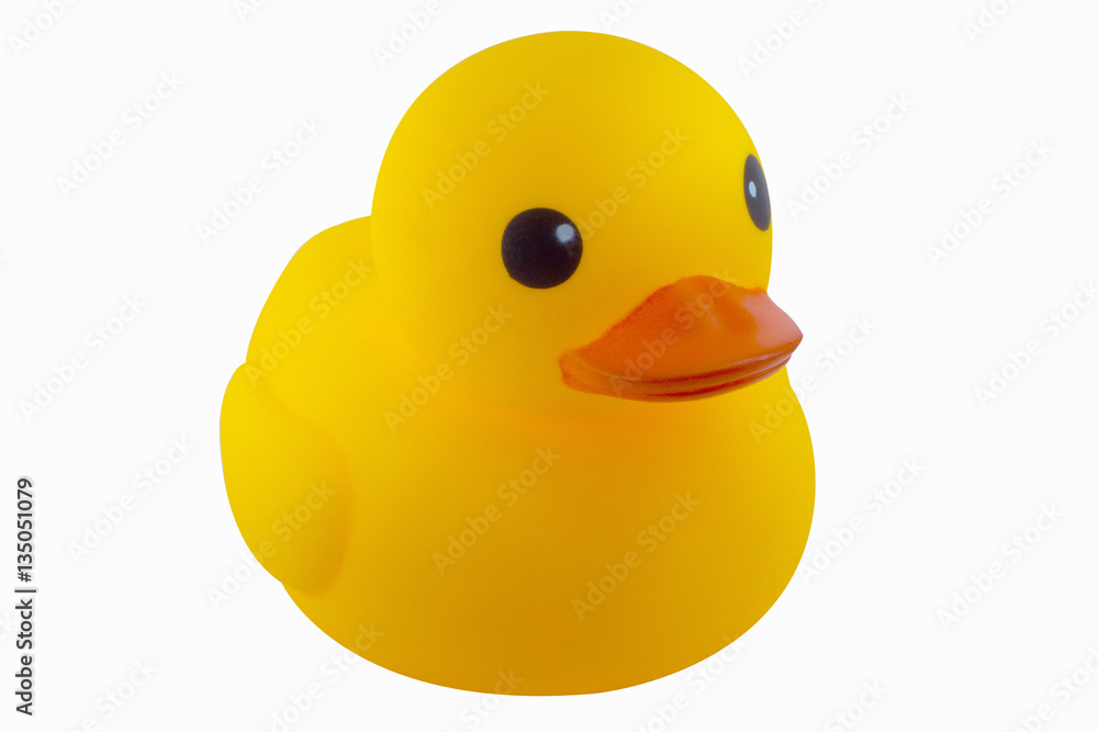 Duck yellow rubber on white background Duck yellow rubber on white background