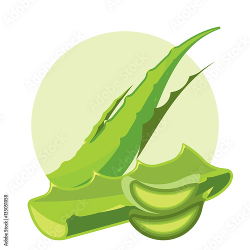 aloe vera natural ingredients for cosmetics
