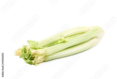 Celery vegetable isolated