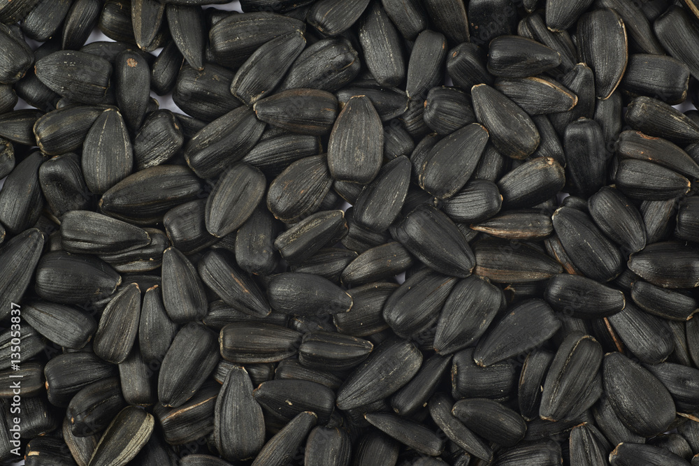 Surface coated with the sunflower seeds Surface coated with the sunflower seeds