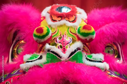 Chinese Lunar Year of the Rooster Celebration, Toronto, Canada-