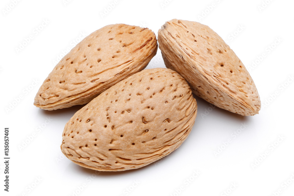 Almond nut isolated Almond nut isolated