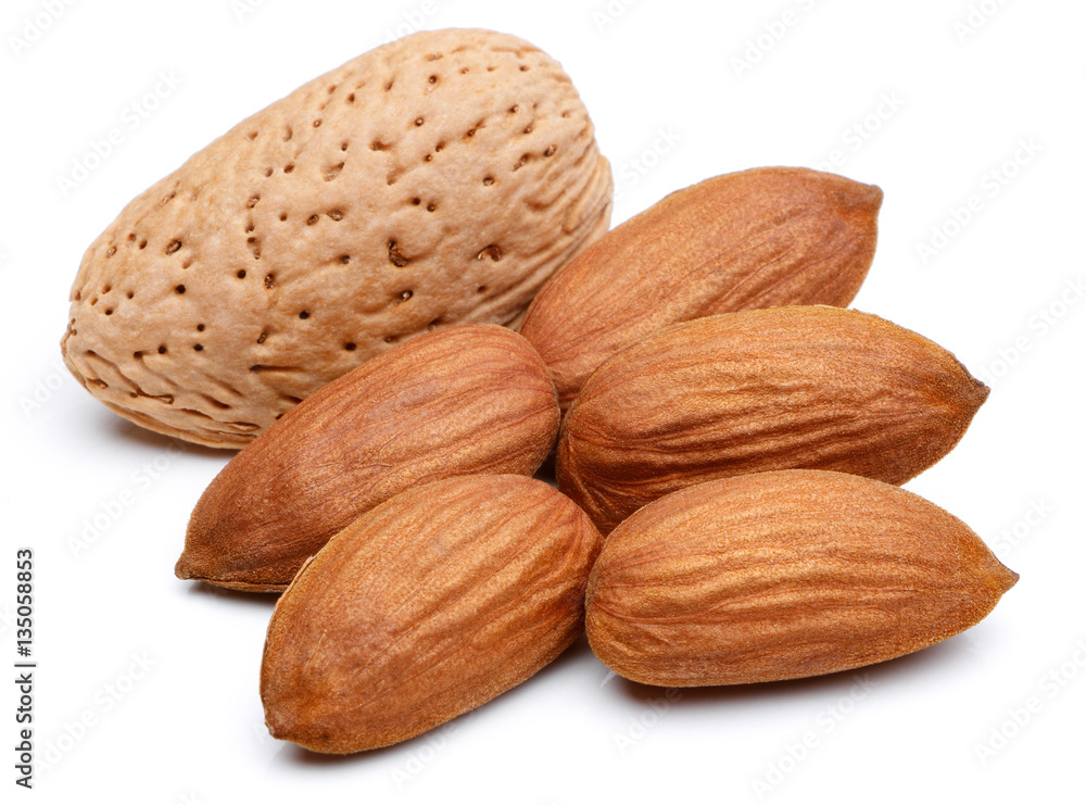 Almond nut isolated Almond nut isolated