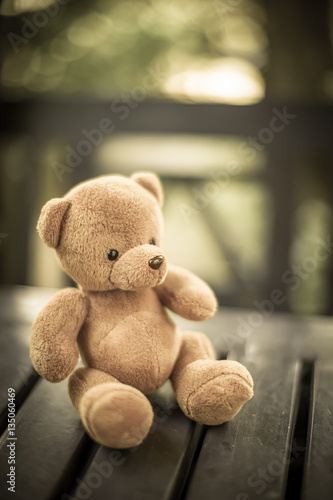 bear doll on the table in the nature with dramatic tone